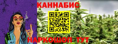 гидра Дубна